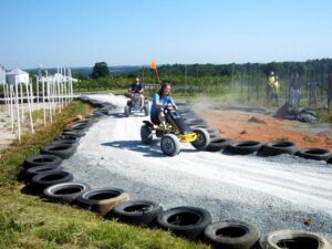 Pedal Kart Race Track Racing