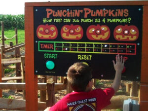 Punchin' Pumpkins Game