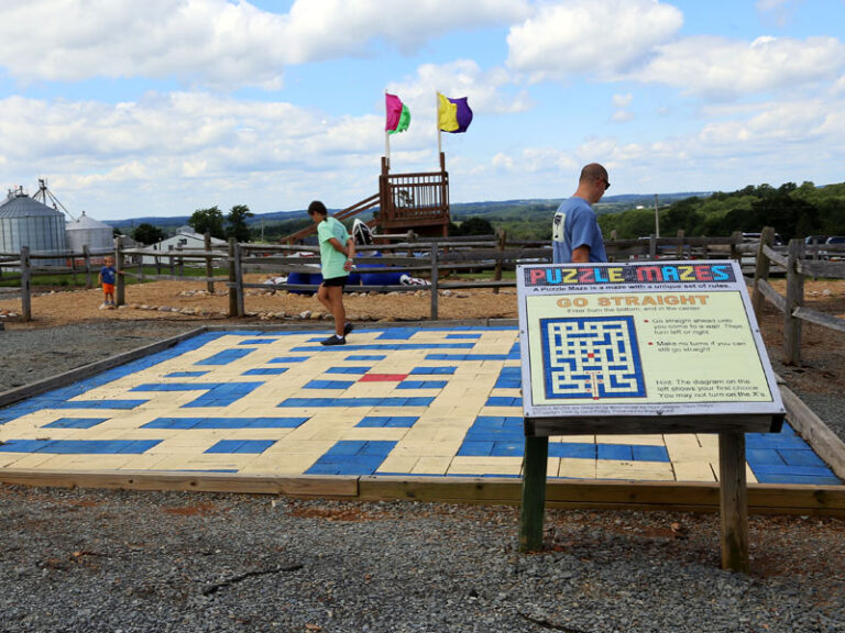 Go Straight Tile Maze Maize Quest Corn Maze & Fun Park