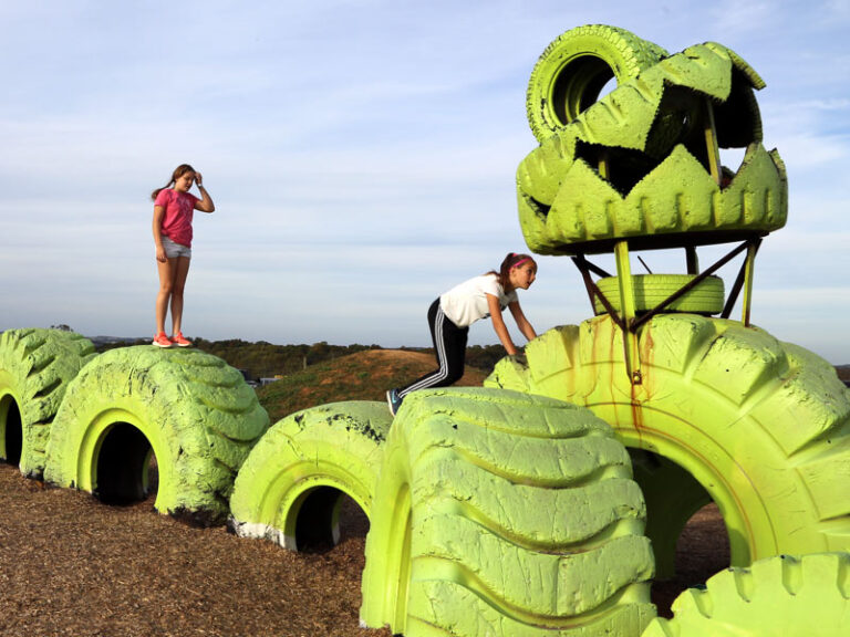 Tire Dinosaurs Maize Quest Corn Maze & Fun Park