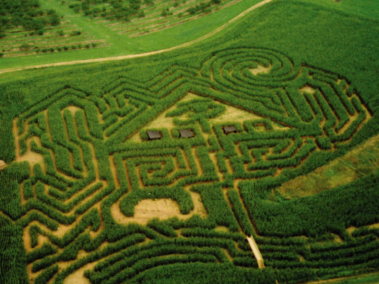 2000 Escape from Egypt Maize Quest Corn Maze & Fun Park
