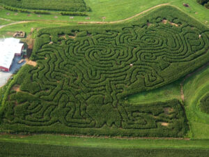 Corn Maze Theme 2005 - Ice Age