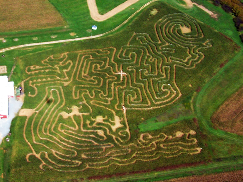 Corn Maze Theme 2006 - Vikings