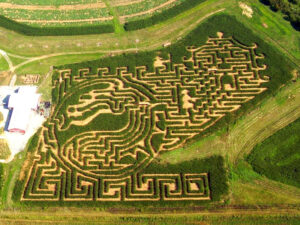 Corn Maze Theme 1998 - China: The Forbidden City