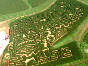 Corn Maze Theme 2010 - Island Adventure