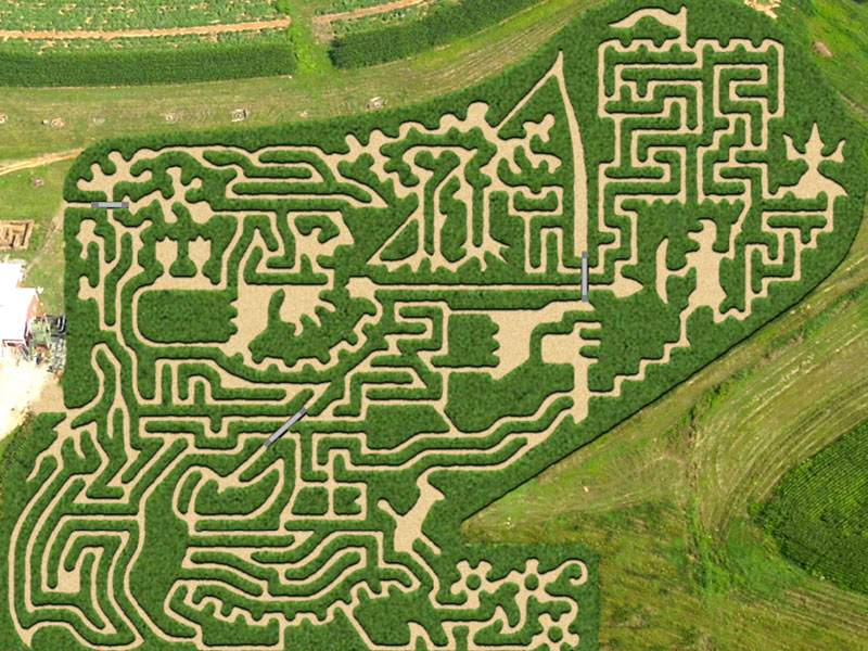 Corn Maze Theme 2011 - Adventure of Robin Hood