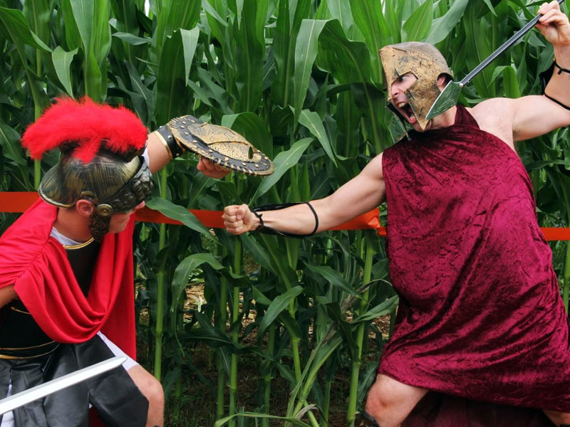 Corn Maze Theme 2013 - Gladiator: Journey to Ancient Rome