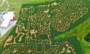 Corn Maze Theme 2019: Atlantis