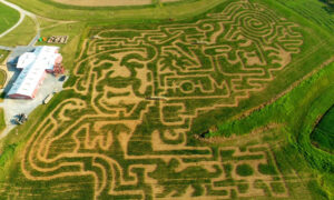 2020 Corn Maze Theme: Sherlock Holmes