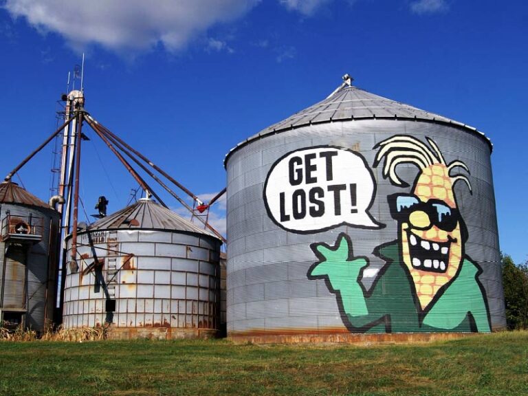 Get Directions Maize Quest Corn Maze & Fun Park