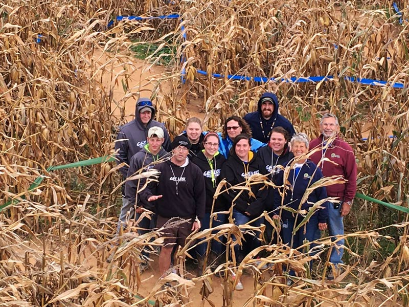 Maize Quest Team in the Corn Maze